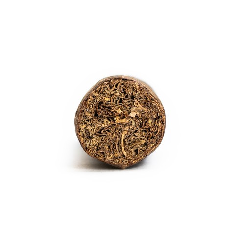 Casa Turrent Origenes San Andres Cigar - 1 Single